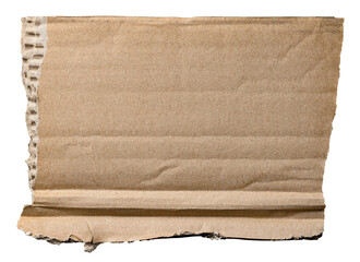 Piece of torn ripped and crumpled brown corrugated cardboard with texture and fine details, transparent png background design element
