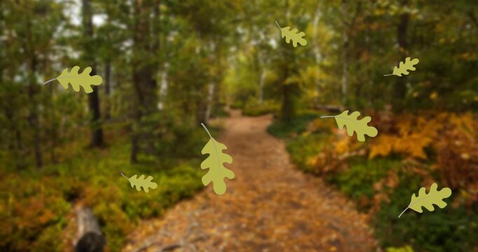 Autumn-themed animation focuses on leaves.