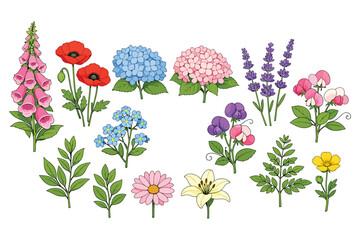 Garden Flower Collection Botanical Bloom and Leaf Vector Set © Sapumal