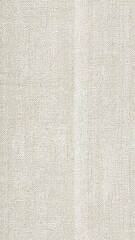 Fototapeta premium Light Gray Herringbone Fabric Texture