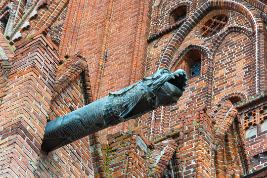 Gothic dragon gargoyle on the Church of St. John the Baptist in Orneta, Poland.