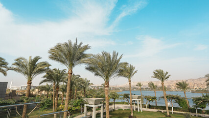 Obraz premium Lush green palm trees sway over a tropical lake, framing a paradise landscape of turquoise and bright blue summer sky