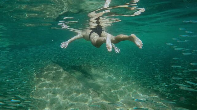 Young man wearing swimming goggles swims among many Silversides Atherina while observing these big school of small fish sparkling in sunlight.