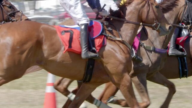 Close up shot of galloping horses and jockeys in a horse race, slow motion shot.