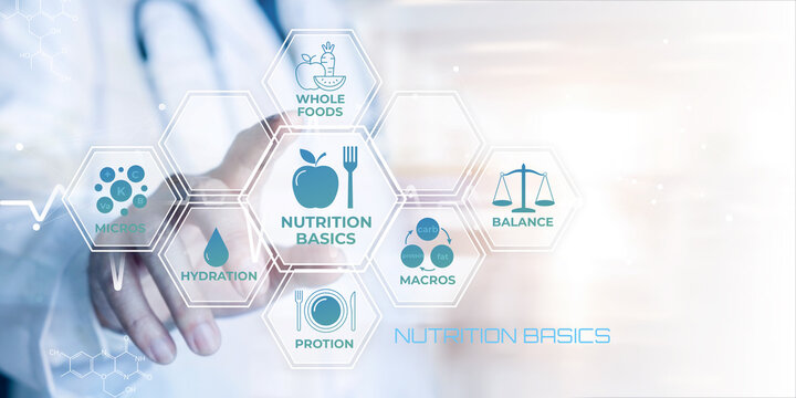Doctors hand interacting with a digital infographic illustrating key nutrition basics including whole foods hydration macros balance and micronutrients