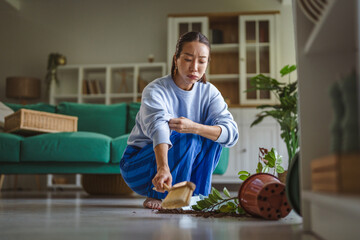 Fototapeta premium Woman feeling frustration cleaning fallen plant with dirt