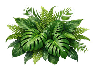 Fototapeta premium PNG Lush tropical leaves arrangement.