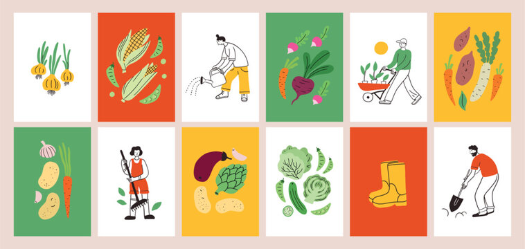 Seasonal fruits and vegetables, corn, beet root, sweet potato, cabbage in simple doodle style. Farmers working in a field or garden. Local market, modern sketch, scribble illustration. Harvest autumn.