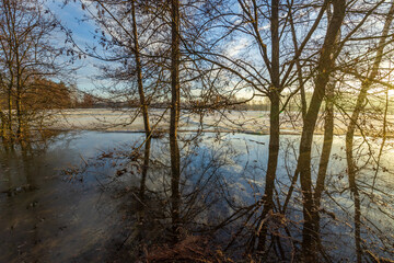 Obraz premium Sunlight glints off a quiet, flooded forest lake