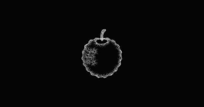 Sketch lychee icon animation - smooth progressive reveal
