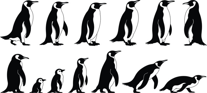 Penguin silhouette collection, black and white standing walking and baby penguin vector set for wildlife design, nature illustration, animal graphic elements