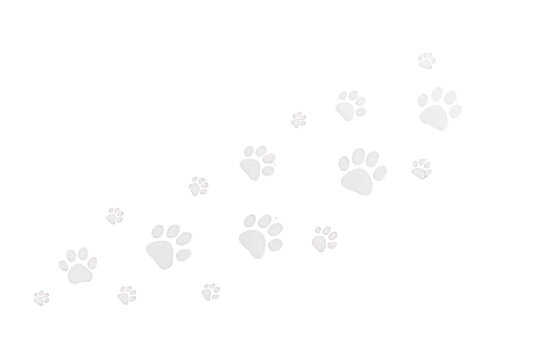 White paw prints creating a path, tracing an animal trail, ideal for pet related design on transparent background