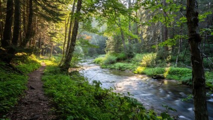 Obraz premium Woodland river scene with a shaded footpath and flowing water for natural background and serene wallpaper design