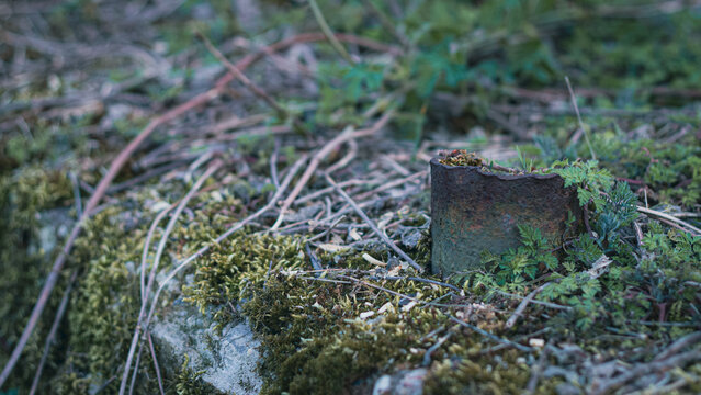 Concrete stab overgrown with a moss and grass