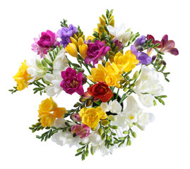 Obraz premium Bouquet of colorful freesia flowers isolated on white, top view