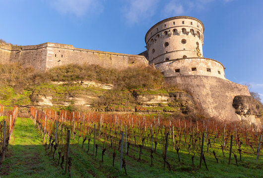 Close view of Marienberg Fortress tower rising above vineyard rows on a sunny hillside in Wurzburg, Germany.