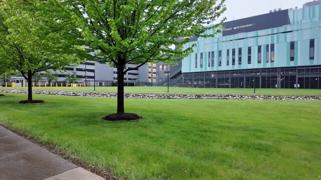 Walking Near Large Buildings With Grass and Trees in a City