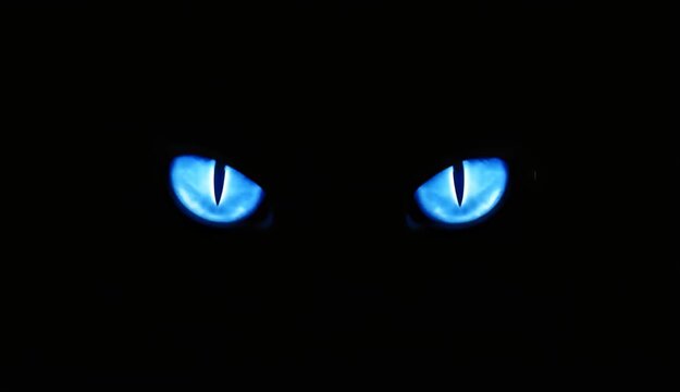 Intense glowing neon blue feline eyes stare directly out from a deep oppressive background of absolute impenetrable darkness creating a frightening impression.