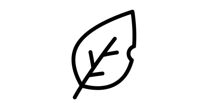Bitten Leaf Outline Vector Icon. Simple line art illustration of a damaged plant leaf with a bite mark, representing nature, environment, and organic concepts.