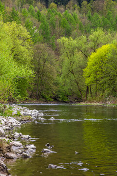 Fr&uuml;hling im Sauerland
