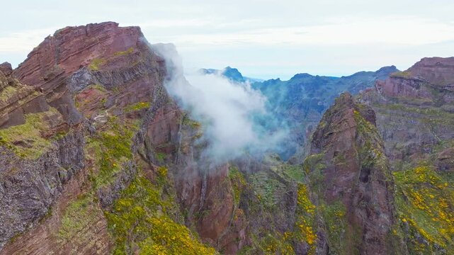A mountain covered in fog and clouds with blooming Cytisus shrubs. Near Pico de Arieiro , Madeira island, Portugal. Slide trucking shot