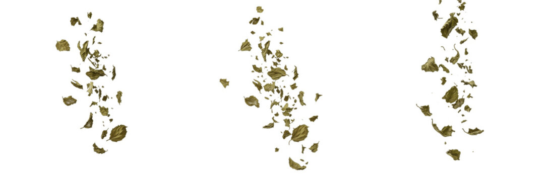 Flying dry crushed herb flakes and leaves isolated on white background
