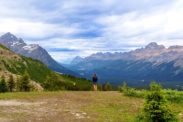 Bow Summit Trail near Peyto Lake, Banff National Park, Alberta, Canada