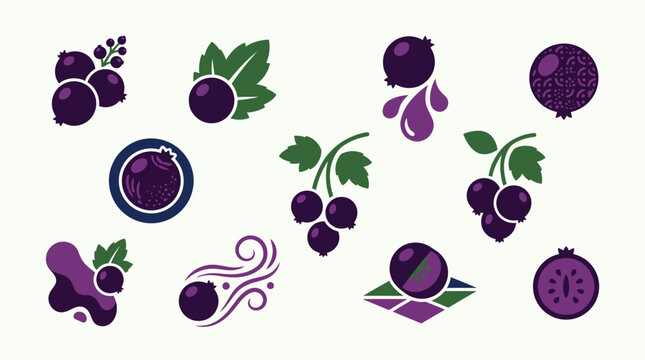 A collection of stylized illustrations of blackcurrants, showcasing various artistic interpretations of the fruit and its essence.