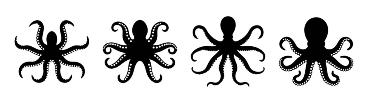 Octopus silhouette vector graphic design with eight tentacles and sea creature illustration for print