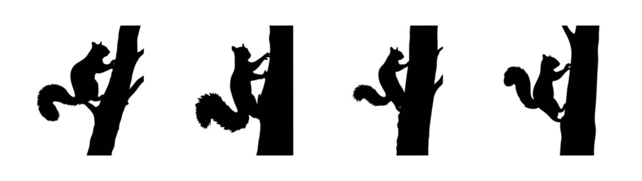 Four squirrels climbing trees silhouette vector illustration wildlife animal nature forest design graphic mammal rodent