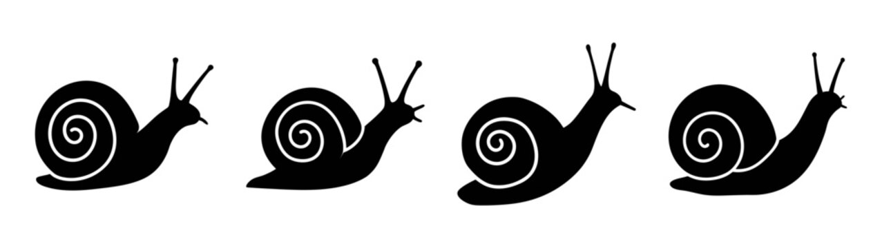 Four snails illustration black and white snail drawing snail silhouette snail art vector graphic  chars