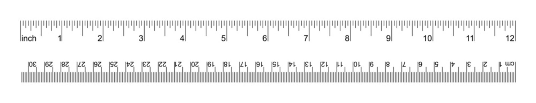12 Inch and 30 Centimeter dual scale ruler