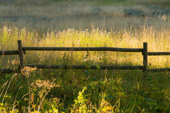 USA, Montana, Bozman.  Light illuminating tall grasses behind a post and rail fence, Galatin National Forest.