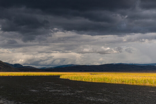 USA, Wyoming,  Jackson Hole.  Dramatic light on the marshland beneath dark cloud mass in the National Elk Refuge