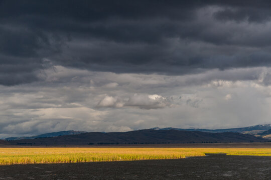 USA, Wyoming,  Jackson Hole.  Dramatic light on the marshland beneath dark cloud mass in the National Elk Refuge