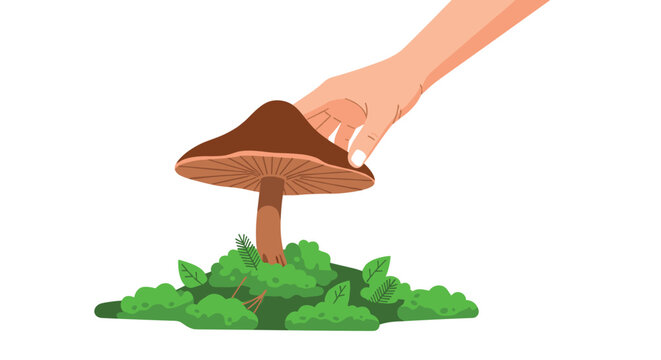 A human hand is shown reaching down to gently harvest a large brown forest mushroom growing amidst a lush patch of green moss and leaves in natural earthy tones.