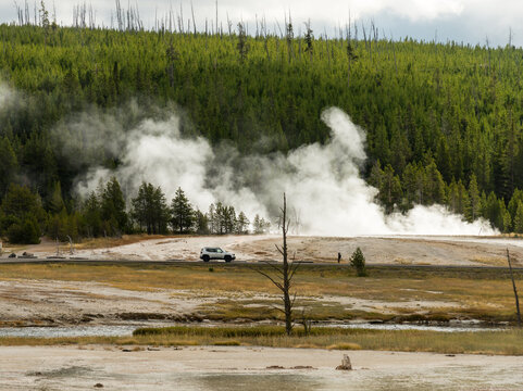 USA, Wyoming, Yellowstone National Park. View of landscape with steaming hot springs, and other geothermal curiosities.  Upper Gyeser Basin, Biscuit Basin Loop