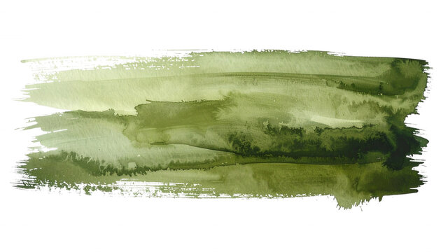 Tache de peinture aquarelle horizontale dans des tons de vert olive et for&ecirc;t, texture artistique isol&eacute;e sur fond blanc pour design.