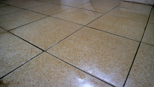 Close up of beige ceramic tiled floor with grout lines, indoor surface texture, low angle perspective