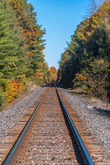 Fototapeta premium railway in fall sunny forest