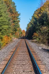 railway in fall sunny forest © Pavel Cheiko