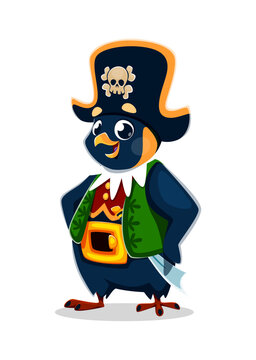 Cartoon penguin animal pirate crew character. Isolated vector bird corsair filibuster personage wearing a vest, captain cocked hat and gleaming cutlass tucked in a gold belt, ready for adventures