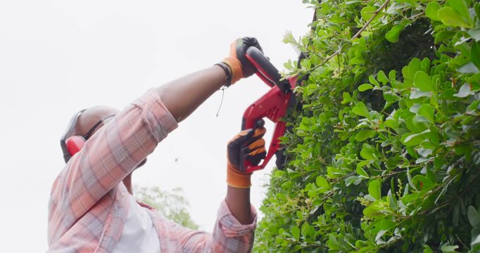 Man raising red hedge trimmer trimming hedge shaping yard beside path with gloves, copy space