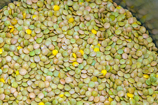 Raw organic green lentils pattern inside metal pot
