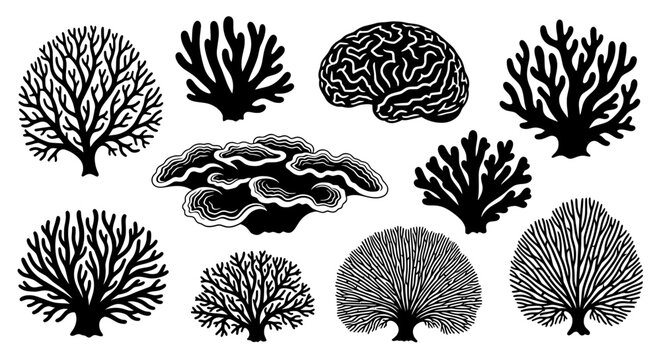 Set of coral silhouettes &ndash; Coral icons isolated on a transparent background