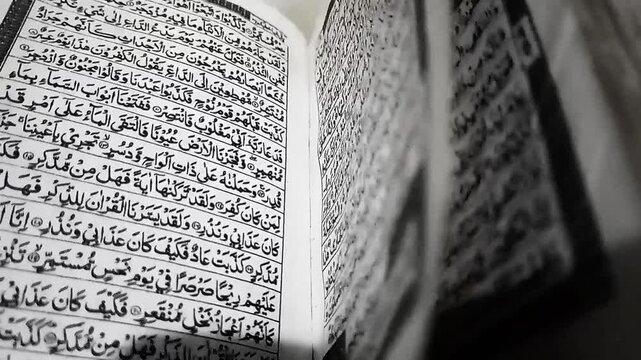 close up of an open book
