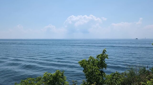 Peaceful Lakeview on Summer Day