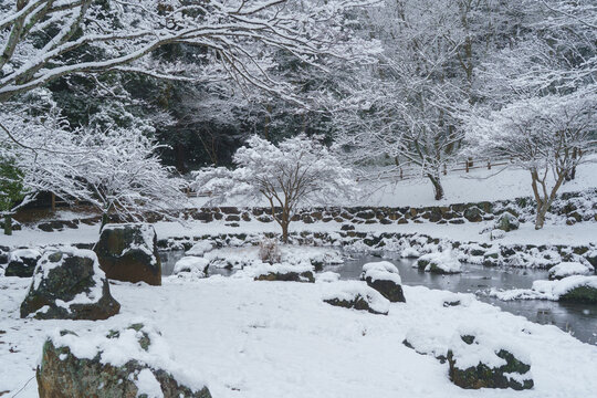 日本の風景【千葉市・大百池公園】公園の池と雪の積もる冬の風景