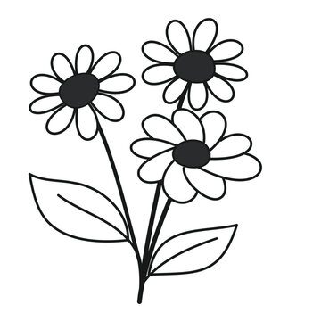 Flower Simple Cartoon Drawing of Three Blooming Daisies with Leaves