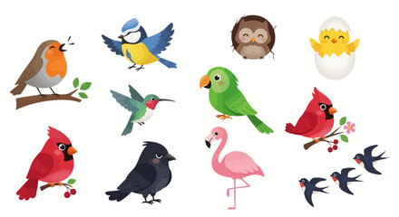 Fototapeta premium Set of funny cartoon birds illustration vector design with cute animals like owl parrot and sparrow in nature style artwork